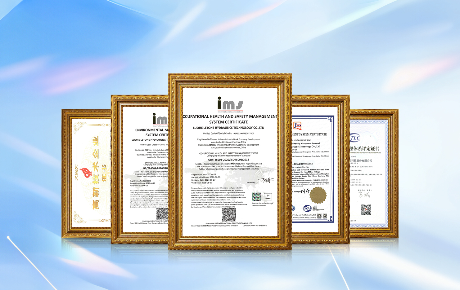 Honors and Qualifications